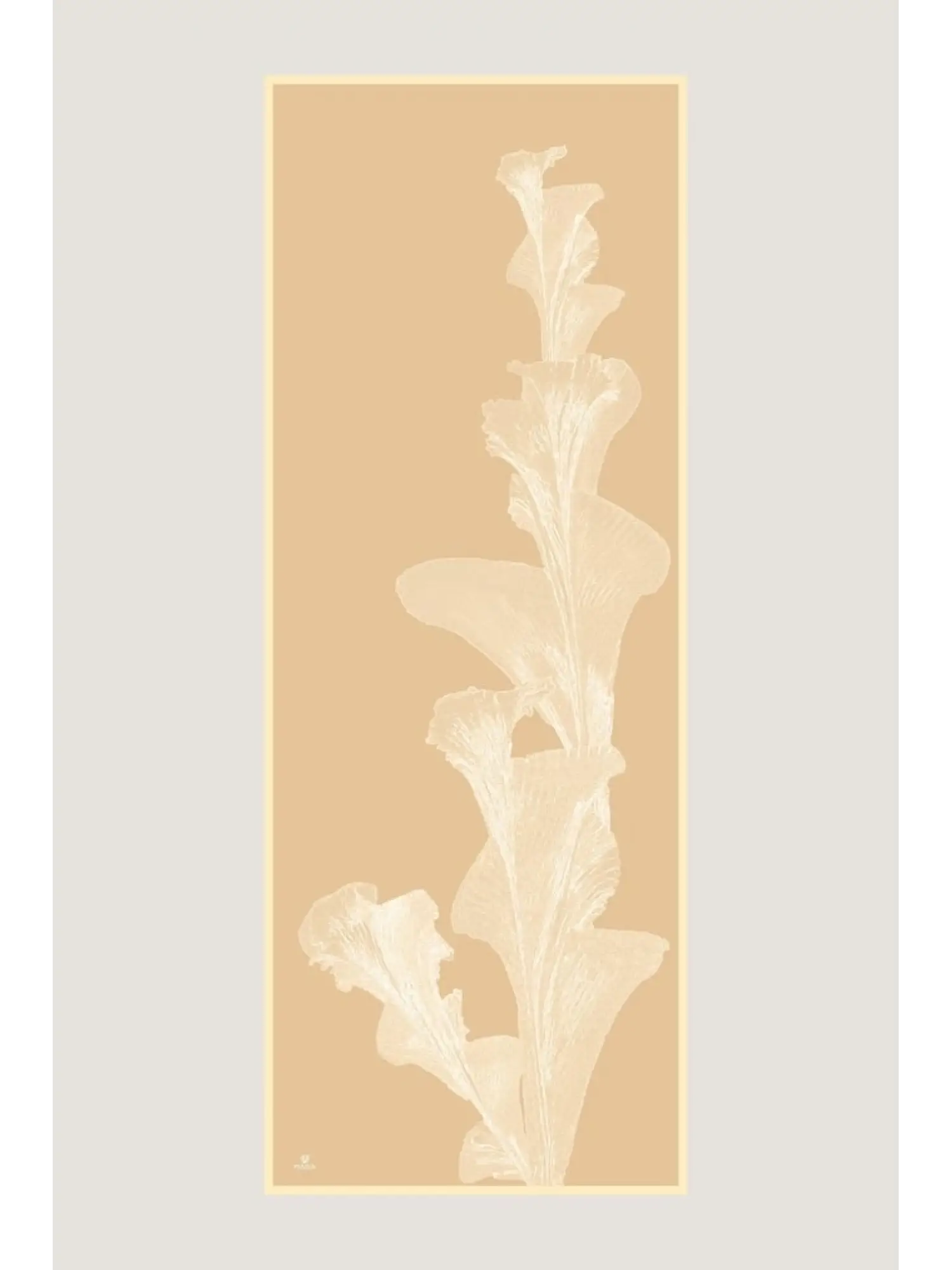 Maisa Şule 70x190 Pamuk İpek Şal