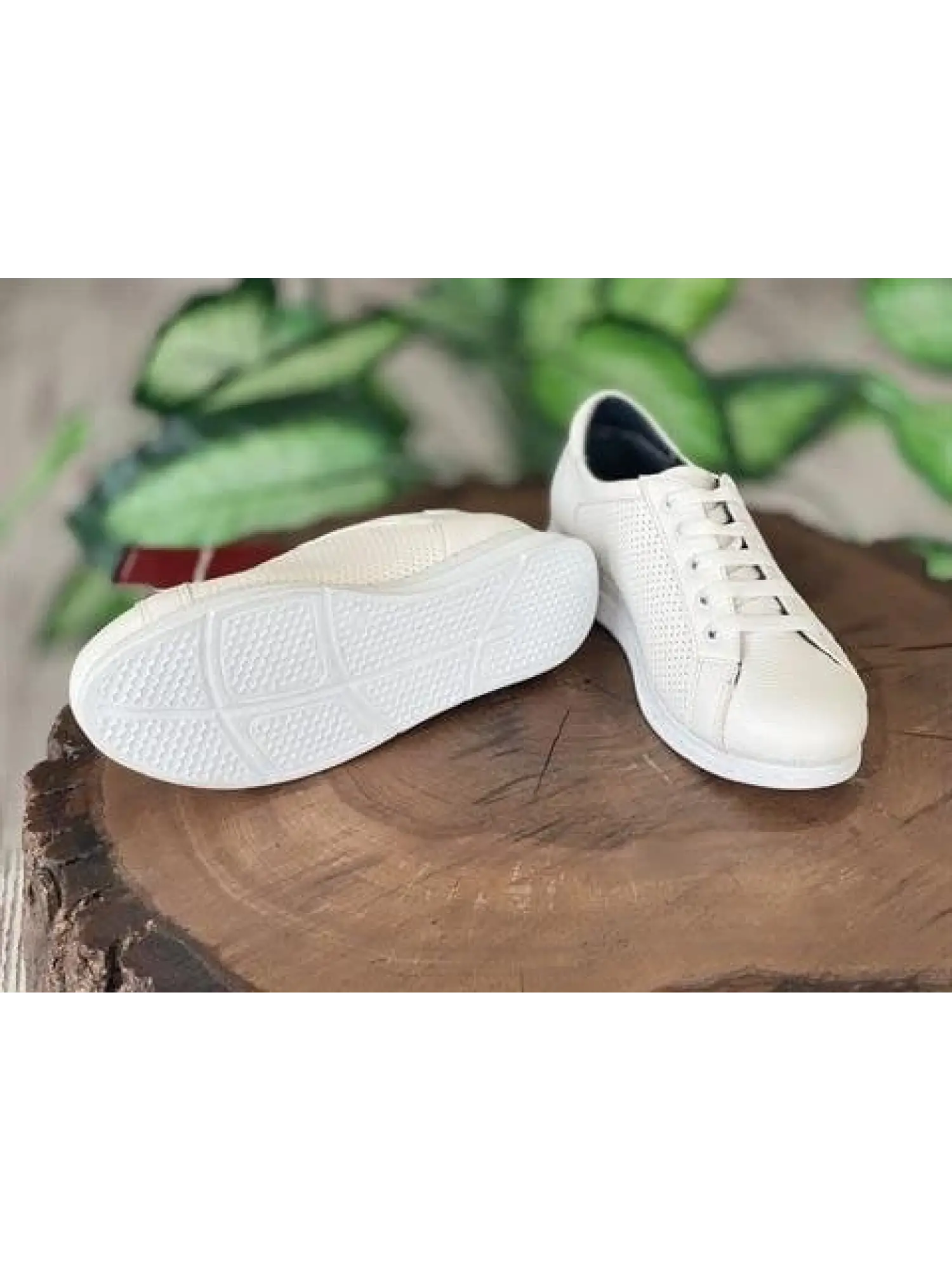 Pierre Cardin Bağcıklı Beyaz Sneaker Kadın Ayakkabı 52245