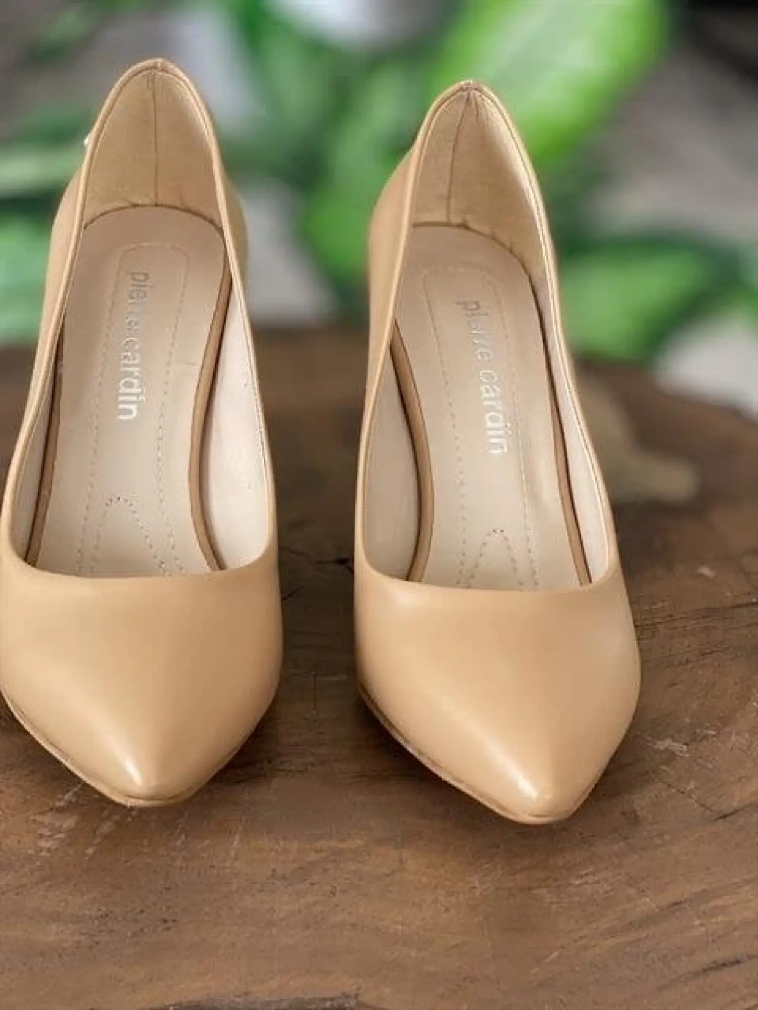 Pierre Cardin İnce Topuk Kadın Stiletto Ayakkabı (52210)