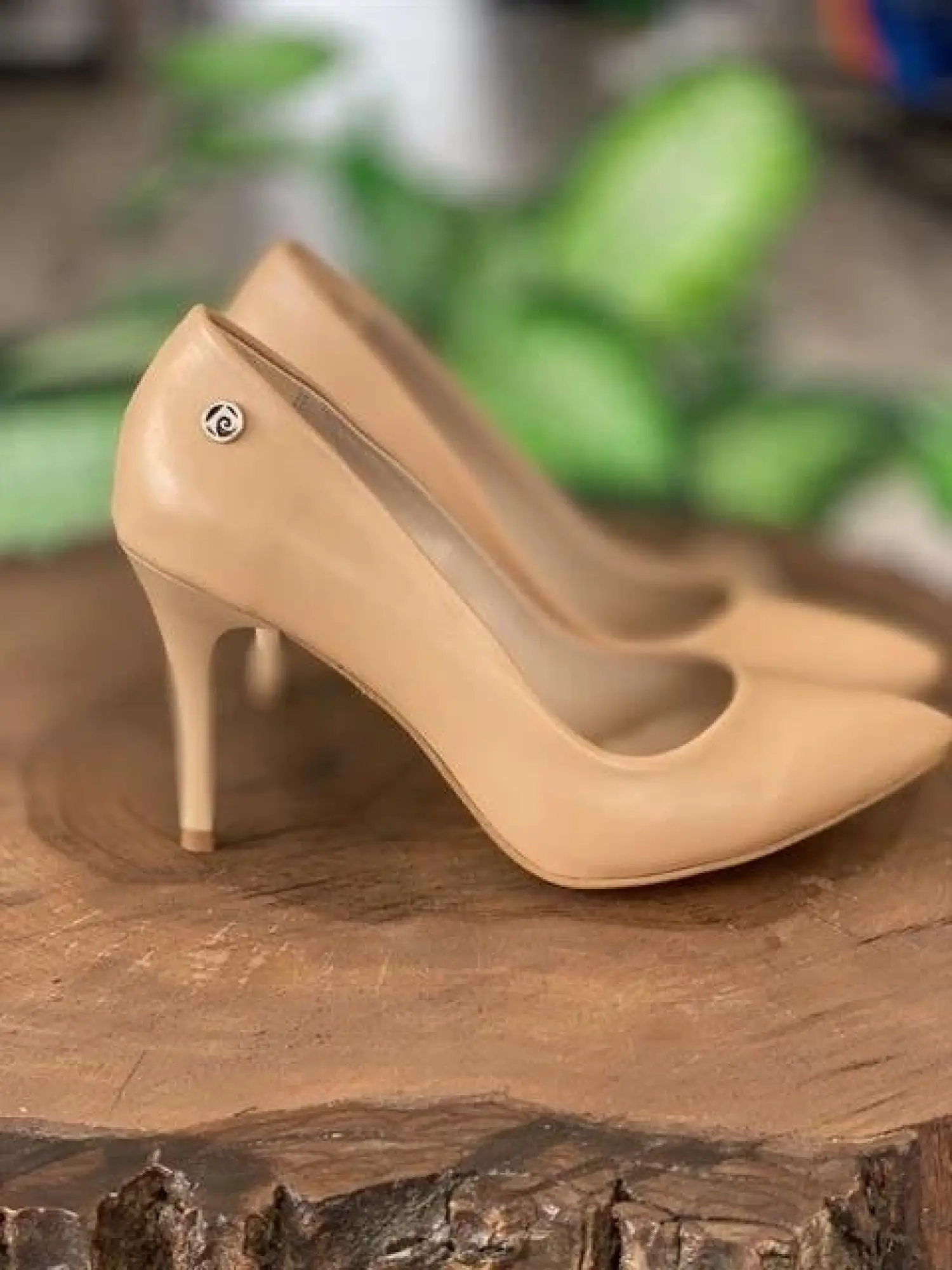 Pierre Cardin İnce Topuk Kadın Stiletto Ayakkabı (52210)