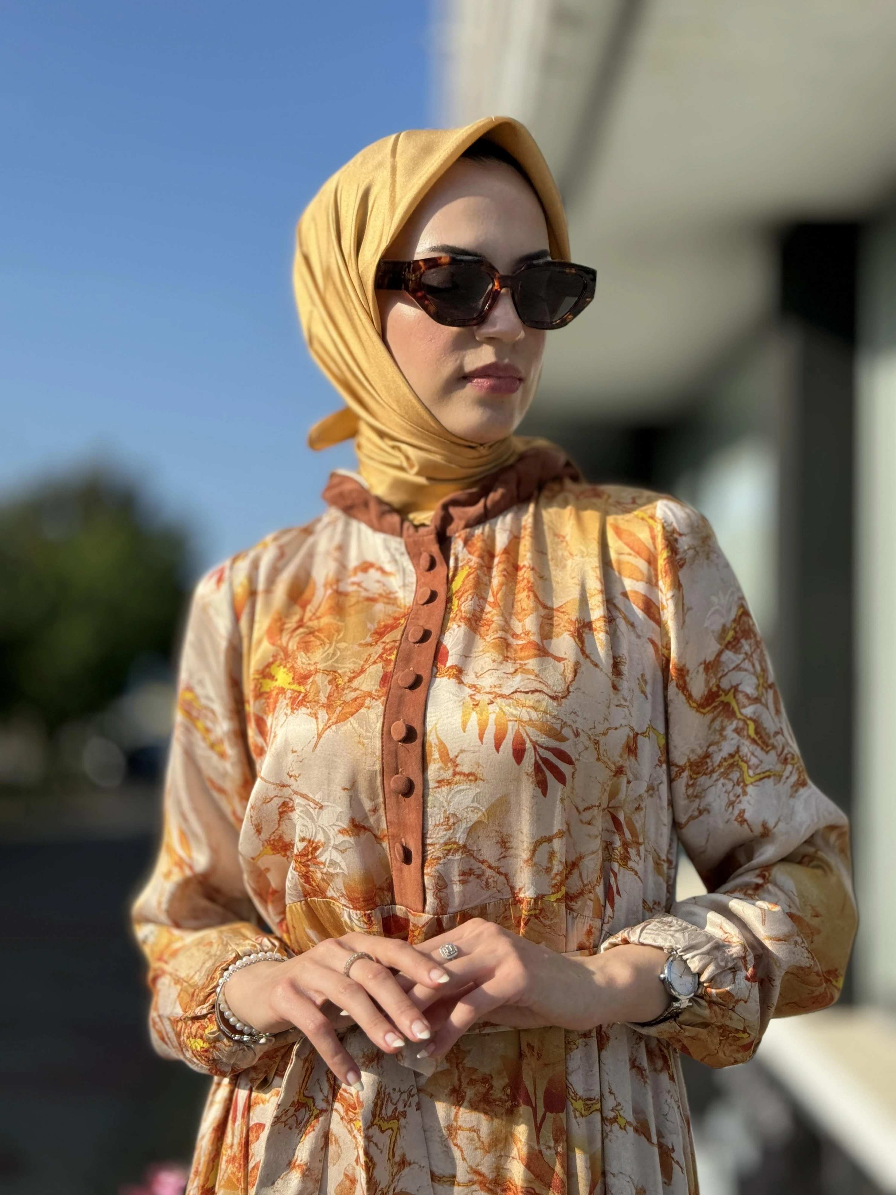 Misswhence Desenli Jakarlı İpek Elbise 35846