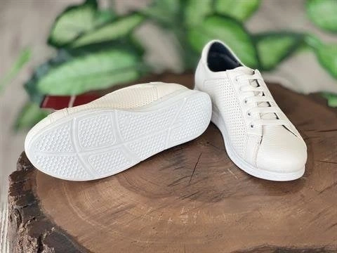 Pierre Cardin Bağcıklı Beyaz Sneaker Kadın Ayakkabı 52245