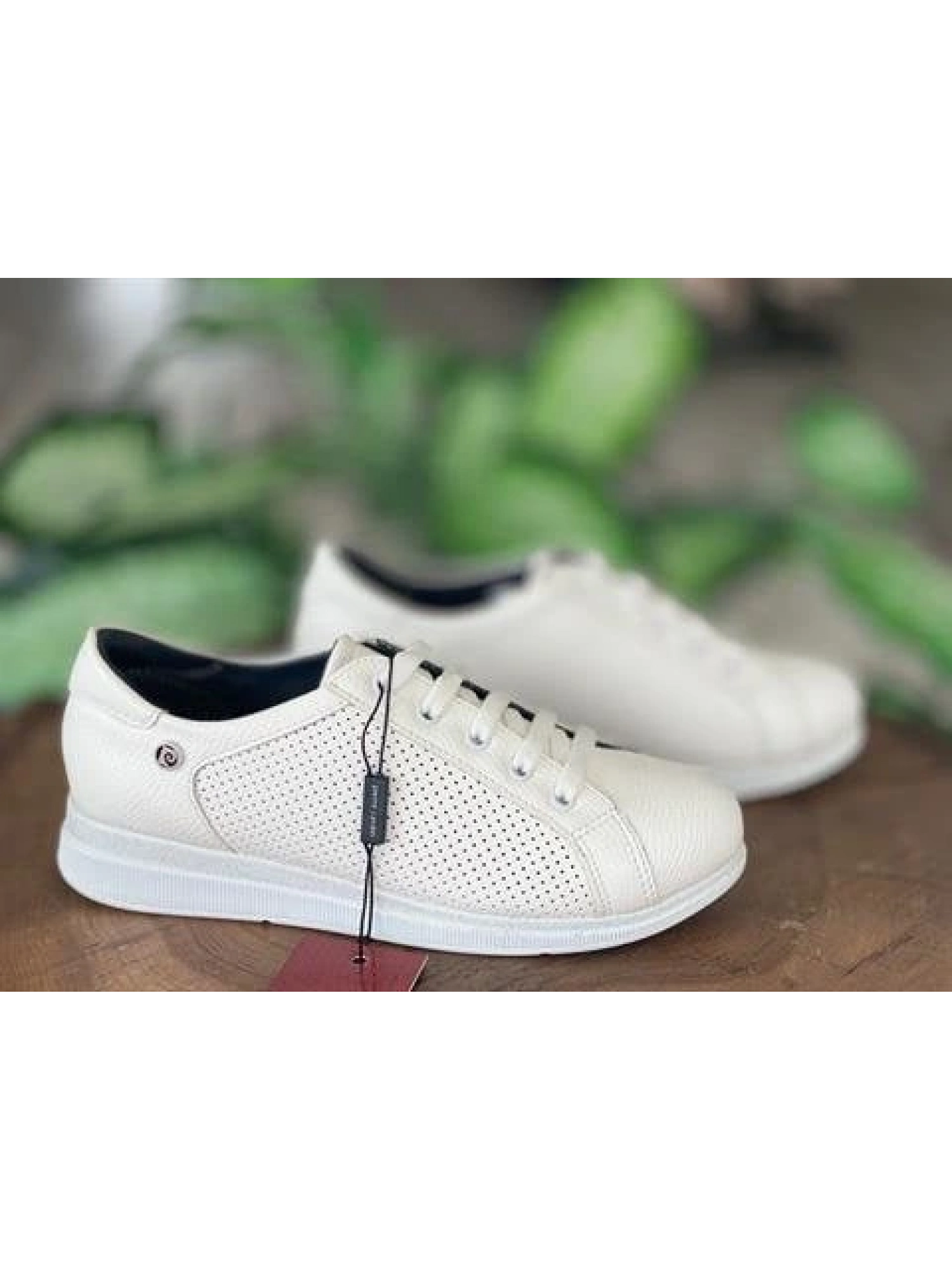 Pierre Cardin Bağcıklı Beyaz Sneaker Kadın Ayakkabı 52245