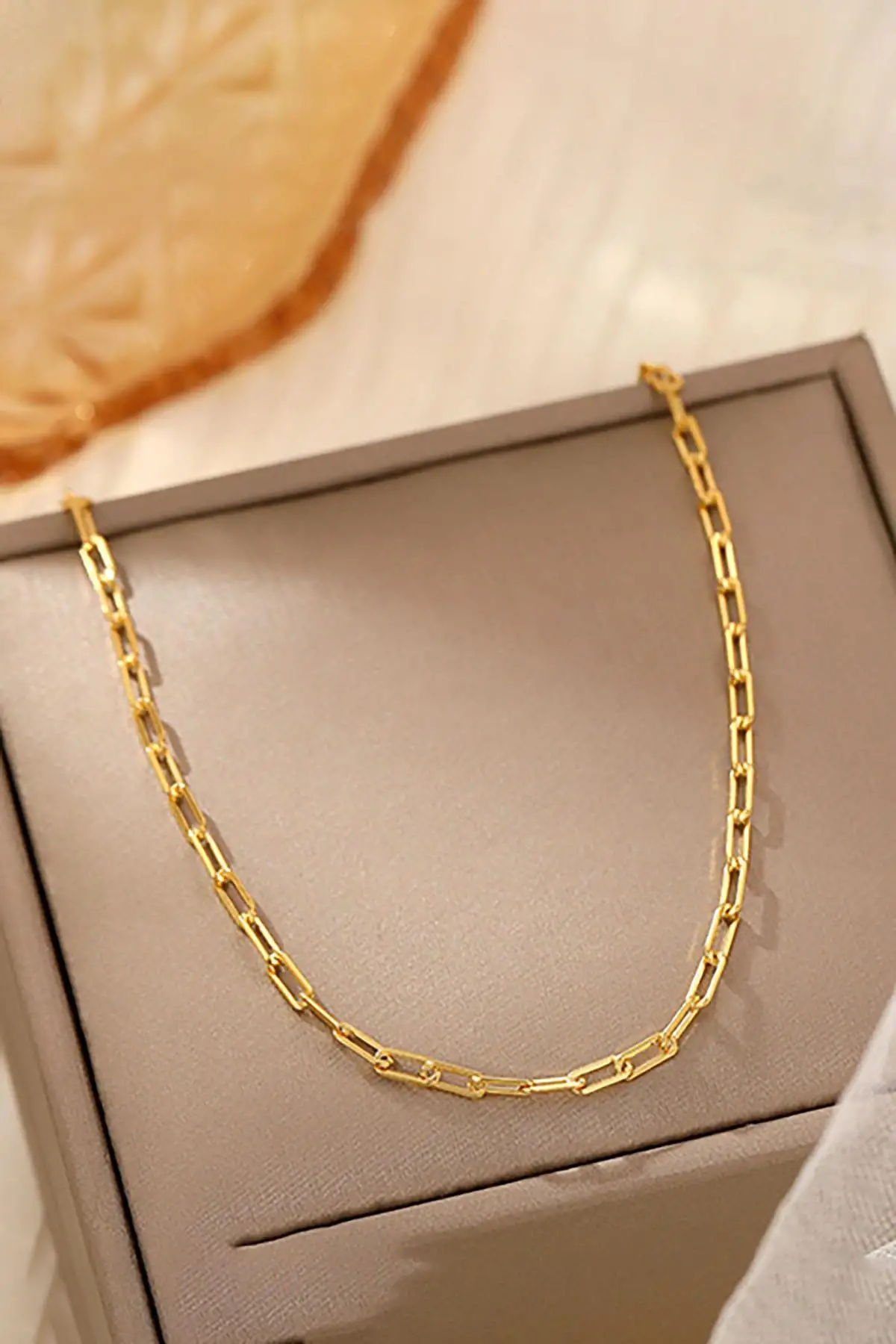 Altın Renk Zincir Detaylı Unisex Çelik Kolye