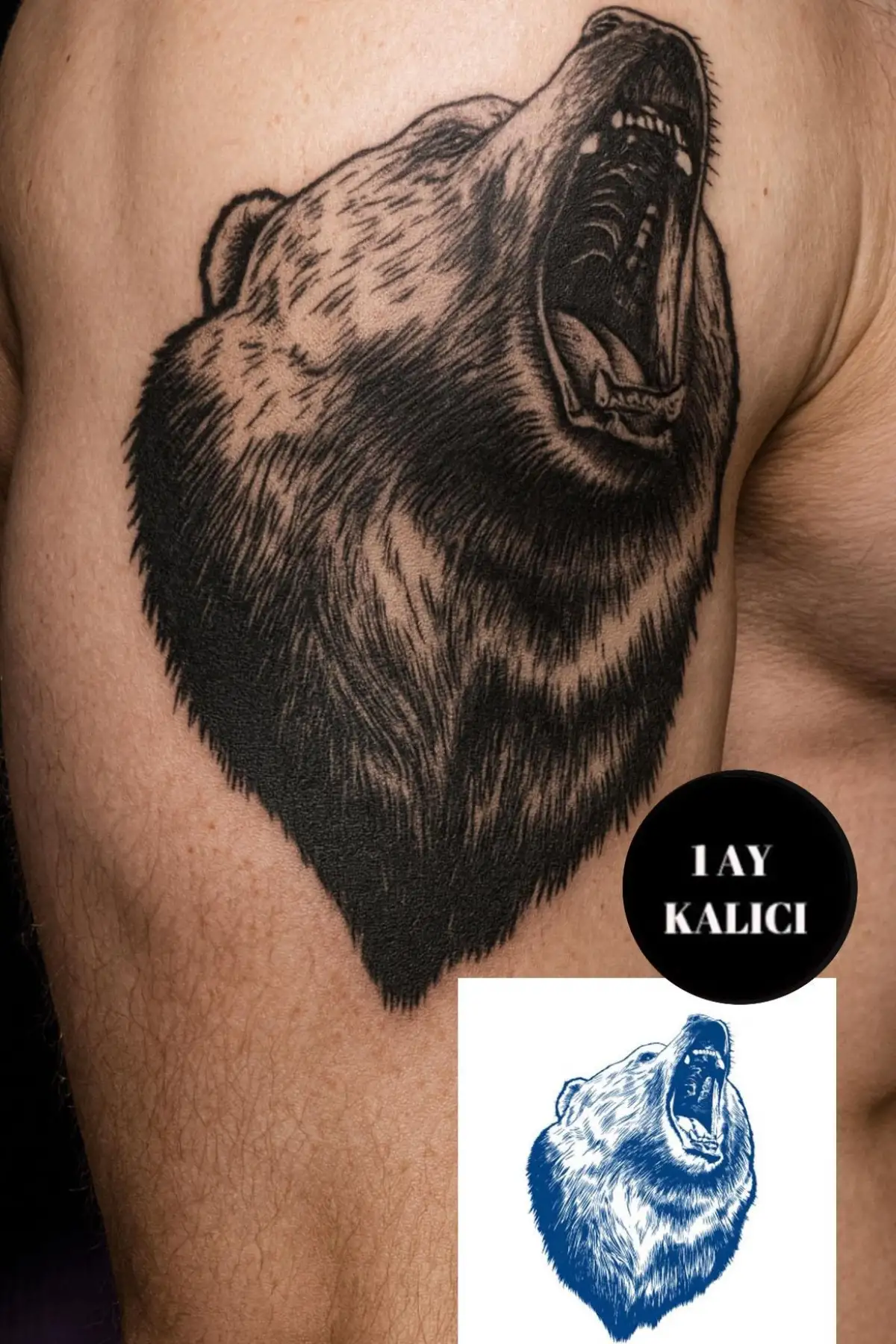 Ayı Figürlü 12 Saat Sonra Kararan Geçici Mini Dövme Tattoo