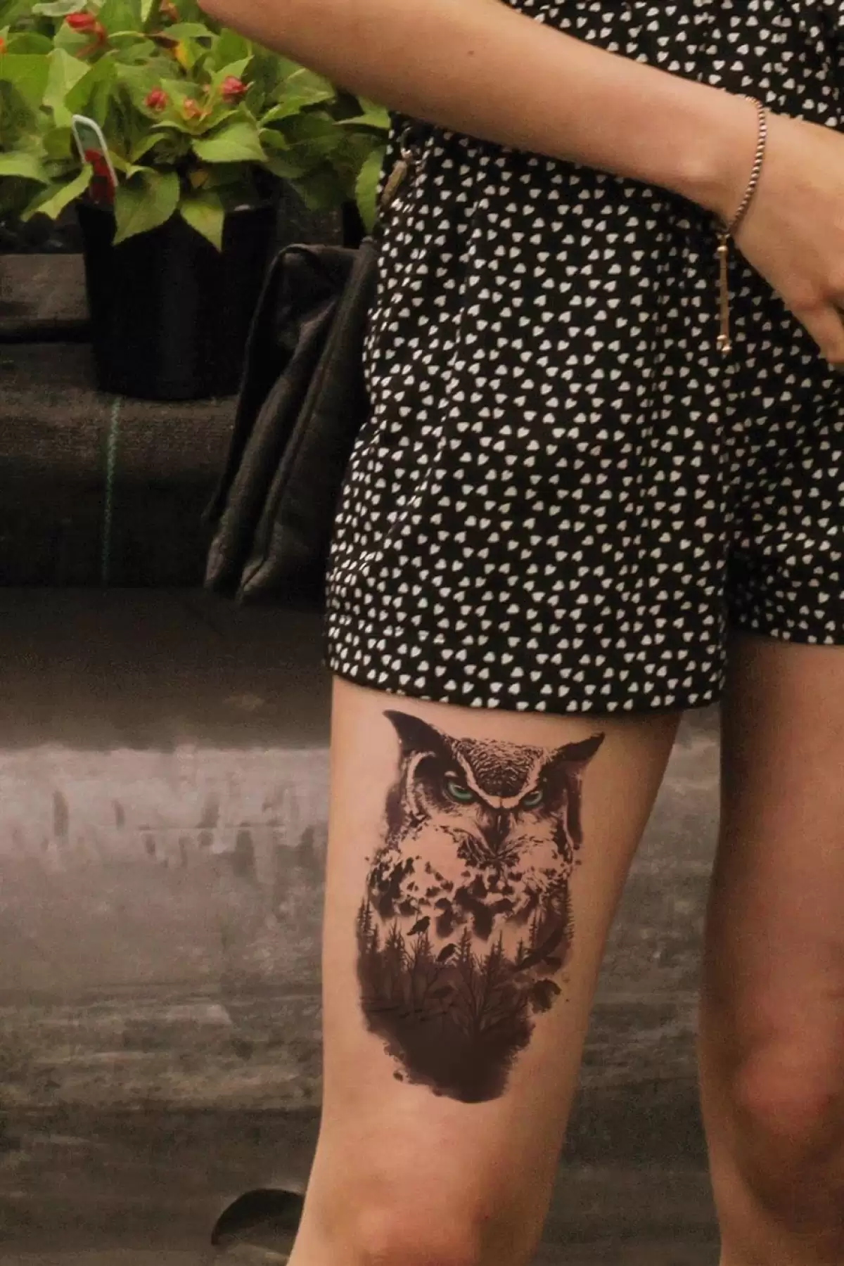 Baykuş Geçici Dövme Tattoo