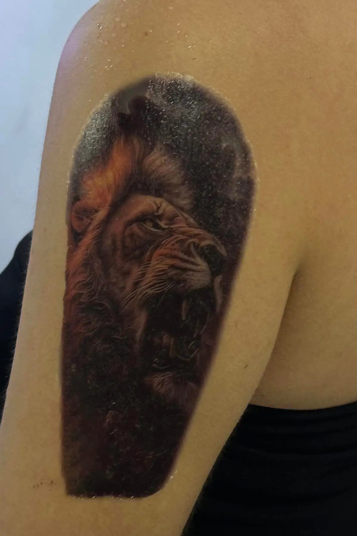 Geçici Aslan Figürlü Dövme Tattoo