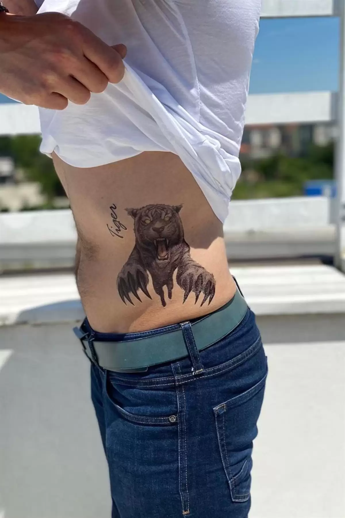 Geçici Kaplan ve Aslan Dövme Tattoo