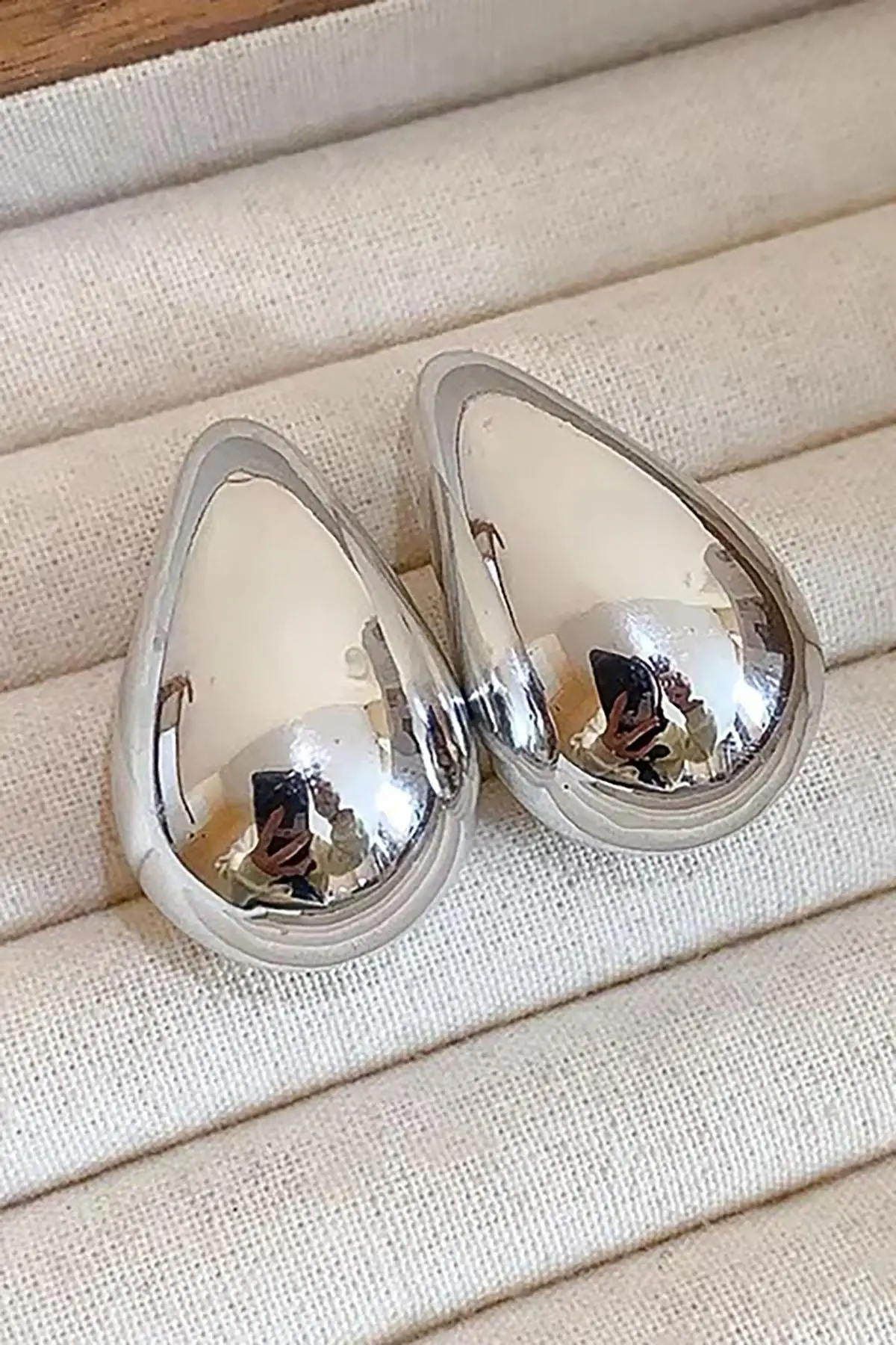 Gümüş Renk Bottega Çelik Küpe (Çift)