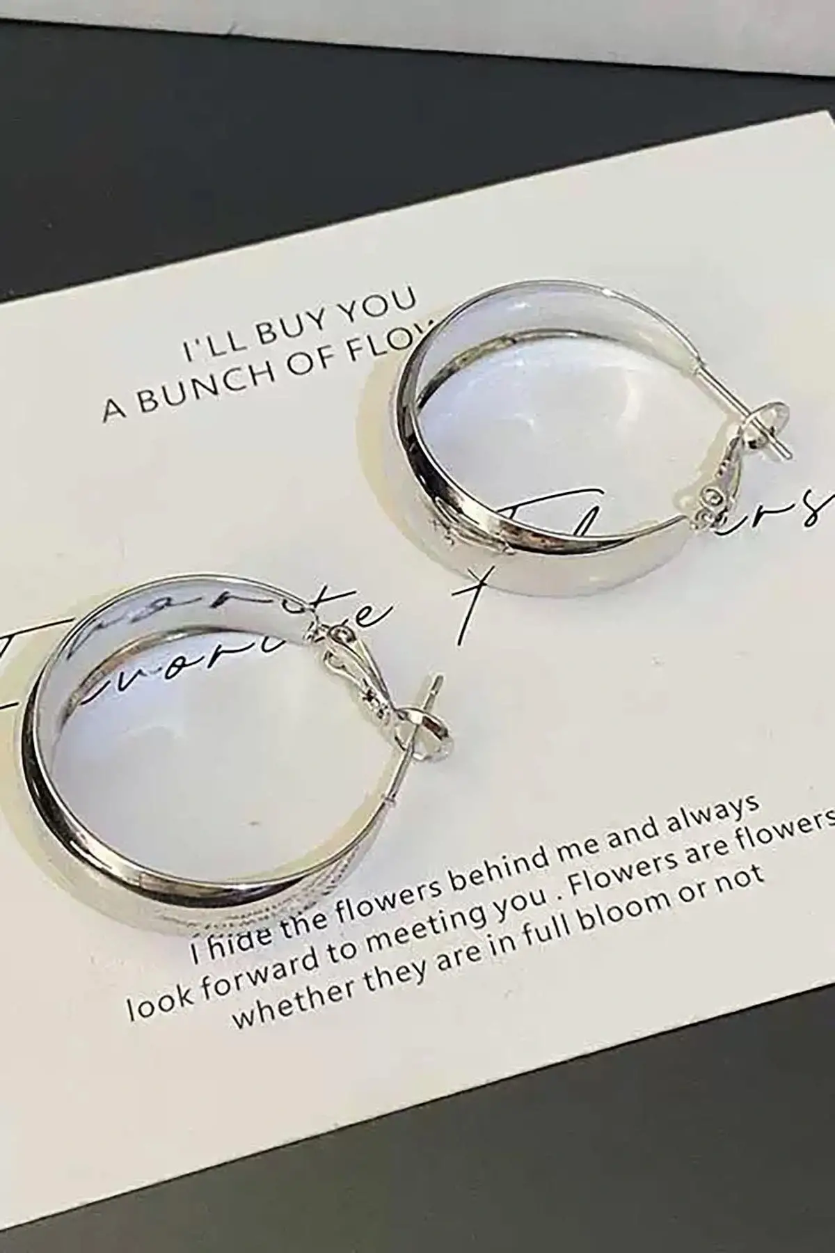 Gümüş Renk Halka Küpe (Çift)