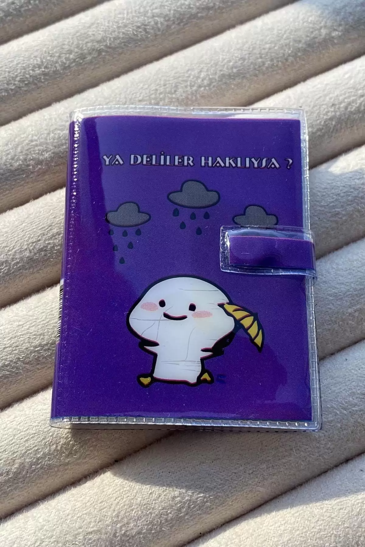 Mor Renk Ya Deliler Haklıysa Yazılı Mini Defter