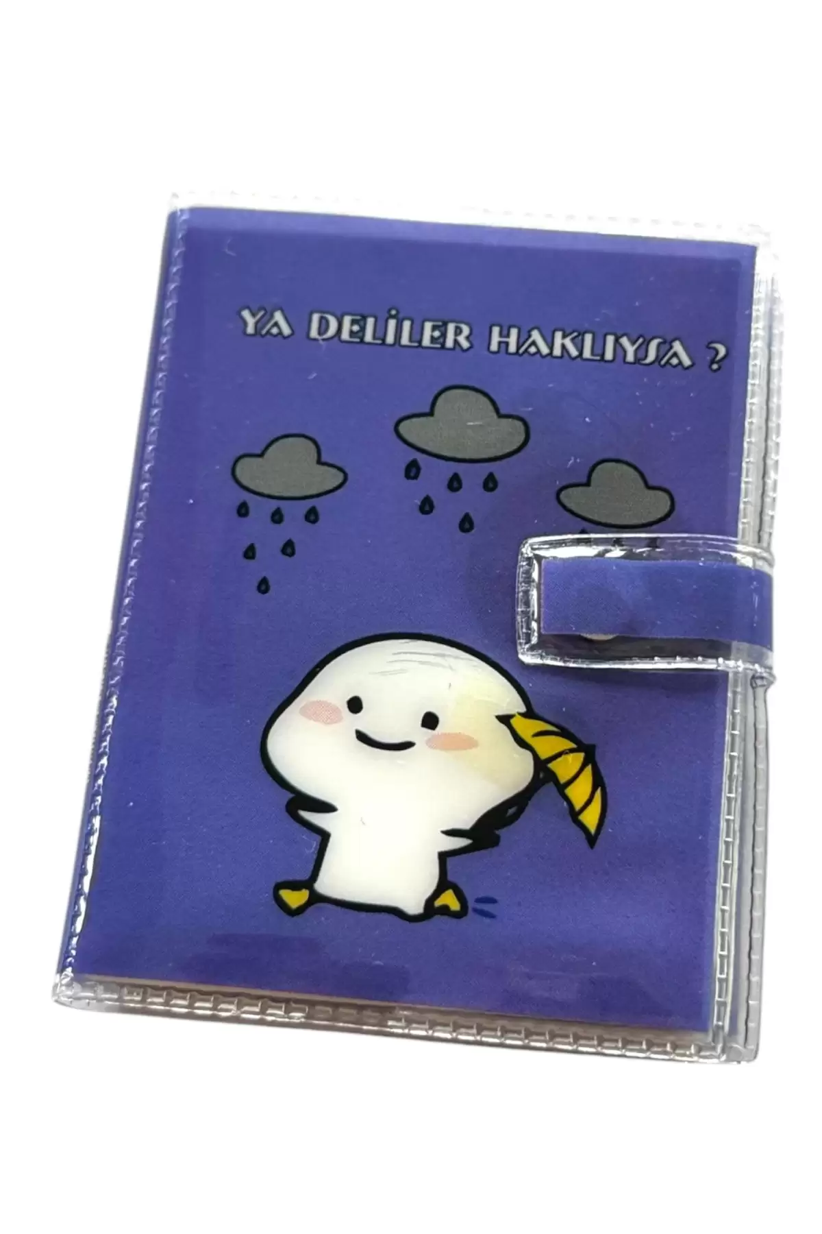 Mor Renk Ya Deliler Haklıysa? Yazılı Mini Defter