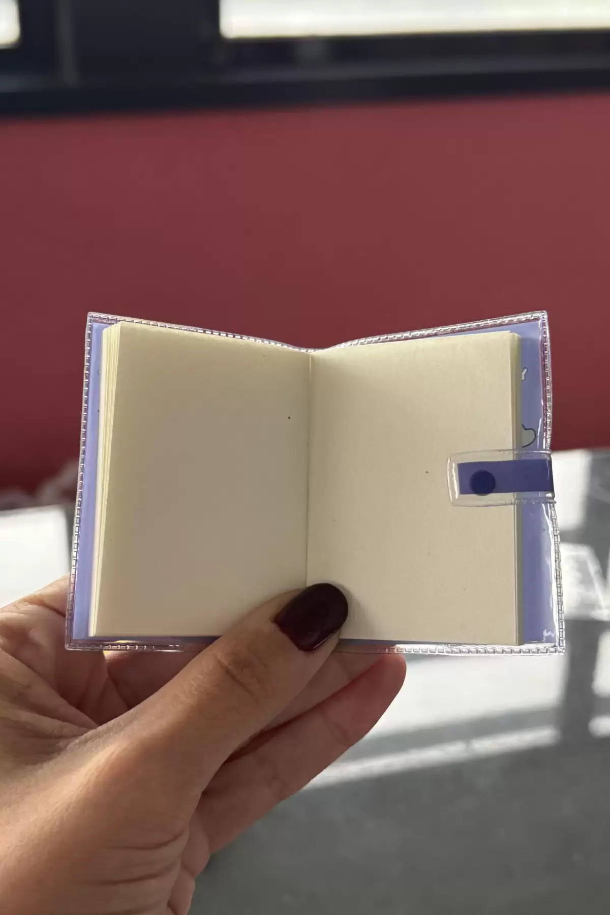 Mor Renk Ya Deliler Haklıysa? Yazılı Mini Defter