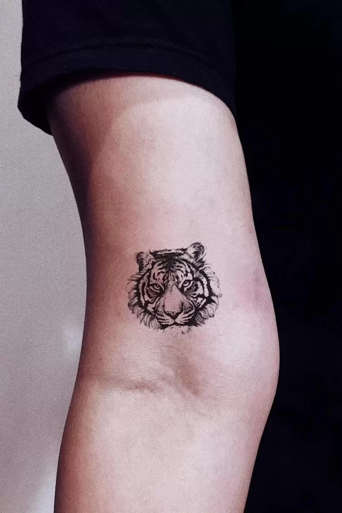 Geçici Aslan Figürlü Dövme Tatto
