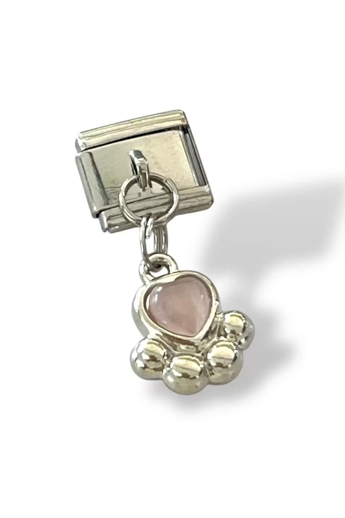 Gümüş Renk Pati Figürlü Çelik Nomination Charm (Tek)