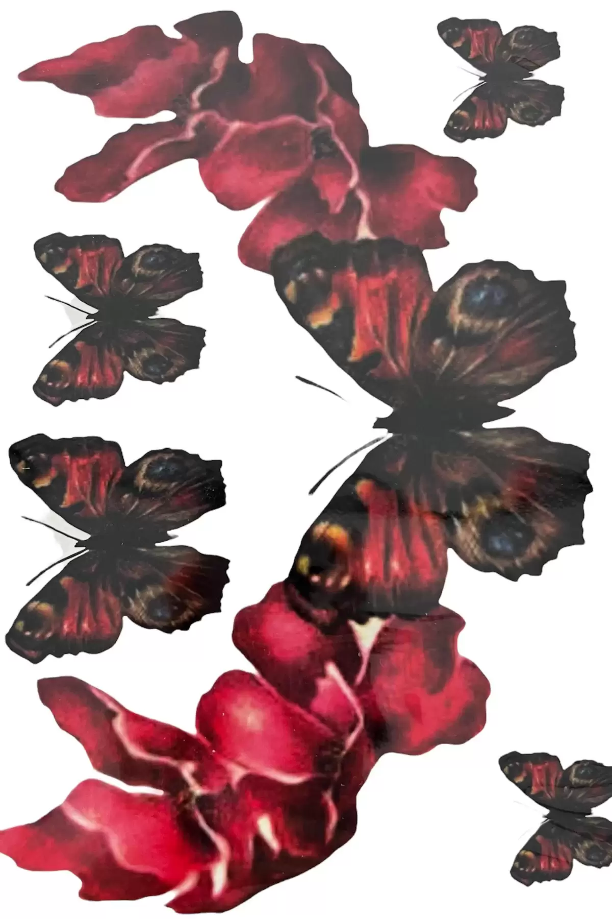 Karışık Renk Kelebek Figürlü Dövme Tattoo