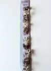 10lu Karışık Renk Ayıcık Figürlü Lastik Toka Set