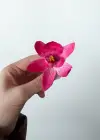 12li Karışık Renk Çiçek Figürlü Lastik Toka Set