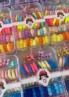 12li Karışık Renk Lastik Toka Set