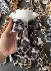 12li Leopar Desenli Kurdele Figürlü Otomat Toka Set
