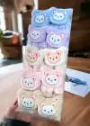 50li Karışık Renk Peluş Lastik Toka Set