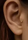 Altın Renk Kalp Figürlü Cerrahi Çelik Tragus/Kıkırdak Küpe/Piercing (Tek)