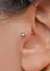 Altın Renk Taş Detaylı Çelik Tragus/Kıkırdak Küpe/Piercing (Tek)