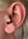Altın Renk Yıldız Figürlü Taş Detaylı Çelik Tragus/Kıkırdak Küpe/Piercing (Tek)