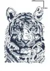 Aslan Figürlü 12 Saat Sonra Kararan Geçici Orta Dövme Tattoo