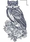 Baykuş Figürlü 12 Saat Sonra Kararan Geçici Mini Dövme Tattoo