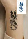 Ejderha 12 Saat Sonra Kararan Geçici Dövme Tattoo