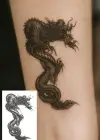 Ejderha Figürlü Mini Dövme Tattoo