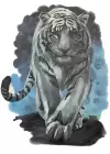 Geçici Kaplan Figürlü Dövme Tattoo