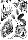 Geçici Karışık Figürlü Dövme Tattoo