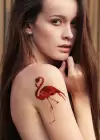 Geçici Karışık Hayvan Dövme Tattoo