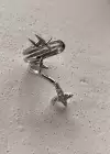 Gümüş Renk Kelebek Detaylı Çelik Ear Cuff Küpe (Tek)