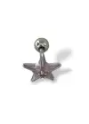 Gümüş Renk Yıldız Figürlü Çelik Tragus/Kıkırdak Küpe/Piercing (Tek)