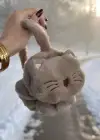 Kahve Renk Kedi Figürlü Peluş Kulaklık