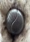Kahverengi Taşınabilir Saç Tarama Fırçası/ Tarak
