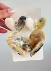 Karışık Renk Kalp Figürlü 3lü Kemik Mandal Toka Set
