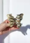 Karışık Renk Kelebek Figürlü Mandal Toka