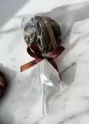 Karışık Renk Lolipop Figürlü Lastik Toka Set