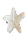 Krem Renk Deniz Yıldız Figürlü Kemik Mandal Toka