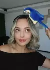 Mavi Ve Sarı Renk Papağan Figürlü Taç