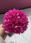 Pembe Renk Kasımpatı Çiçeği Detaylı Mandal Toka