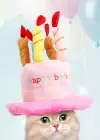 Pembe Renk Mum Figürlü Happy Birthday Yazılı Kedi Köpek Şapkası