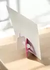 Pembe Renk Panda Figürlü Yapışkanlı Not Kağıdı
