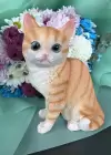 Süs Eşyası Kedi Figürlü Biblo