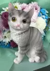 Süs Eşyası Kedi Figürlü Biblo