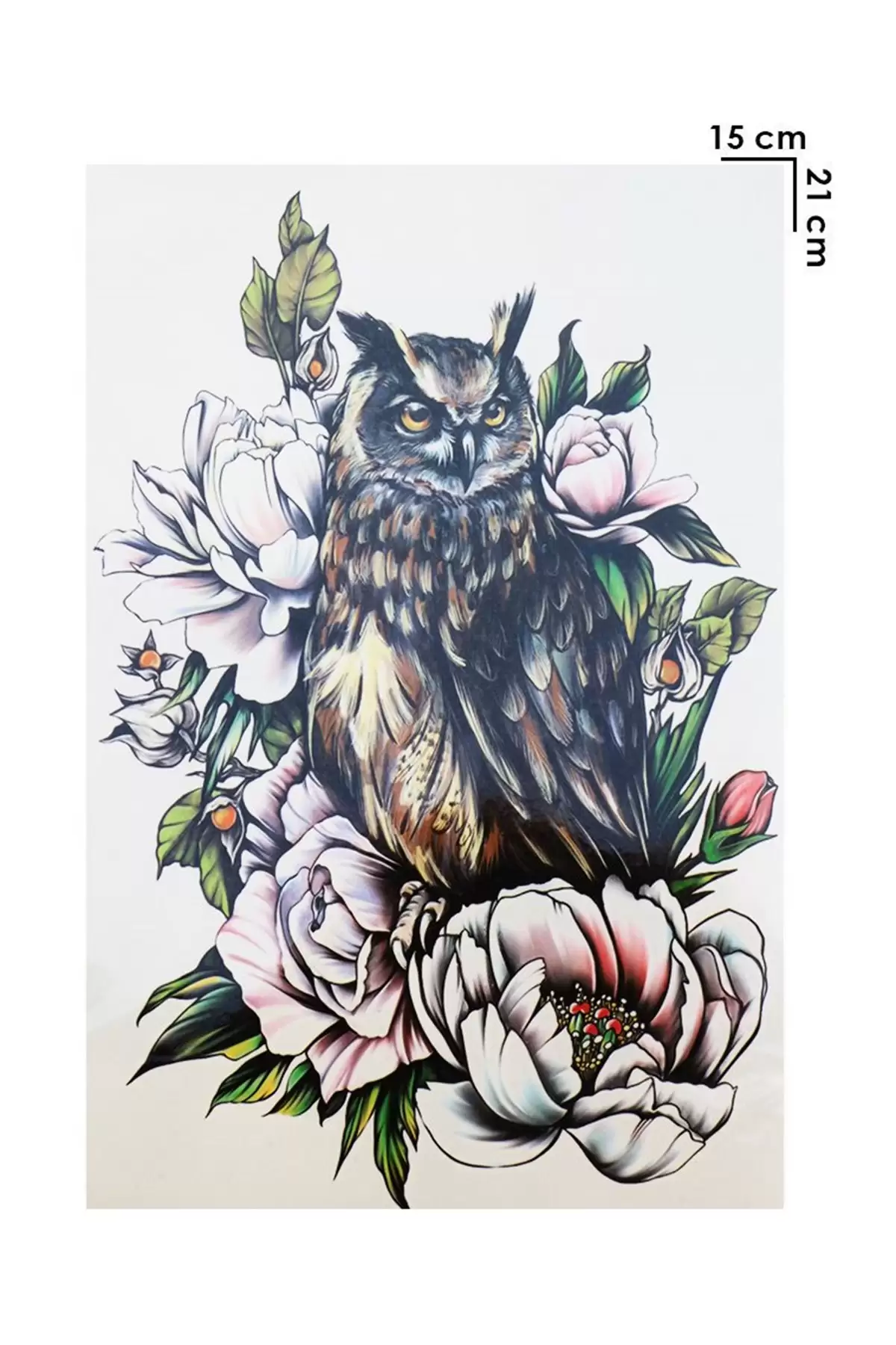 Geçici Baykuş Dövme Tattoo
